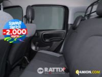 Fiat PANDA 1.0 Hybrid 70CV Street 4p.ti (IVA ESCLUSA) | Altro Altro | Rattix Srl
