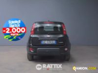 Fiat PANDA 1.0 Hybrid 70CV Street 4p.ti (IVA ESCLUSA) | Altro Altro | Rattix Srl