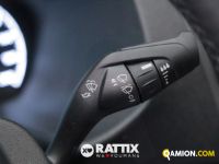 Ford TRANSIT 350 2.0 TDCI 170CV Trend L3H2 RWD (IVA ESCLUSA) | Altro Altro | Rattix Srl