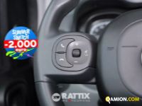 Fiat PANDA 1.0 Hybrid 70CV Street 4p.ti (IVA ESCLUSA) | Altro Altro | Rattix Srl