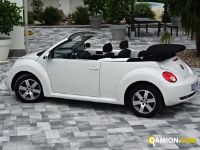 Volkswagen New Beetle 1.9 TDI  CABRIO | Altro Altro