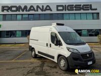 Fiat DUCATO CABINATO | Leggero Cabinato <= 35 q.li Isotermico / coibentato | ROMANA DIESEL SPA