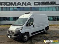 Fiat DUCATO CABINATO | Leggero Cabinato <= 35 q.li Isotermico / coibentato | ROMANA DIESEL SPA