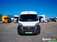Fiat DUCATO FURGONE | Leggero Furgone <= 35 q.li Furgone di serie / Van | ROMANA DIESEL SPA