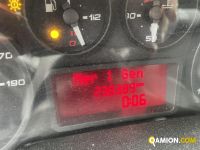 Iveco Daily BOX Daily BOX | Altro Altro | MECAR SPA