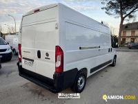 Fiat Ducato (4ª serie) Ducato (4ª serie) | Millenium Car