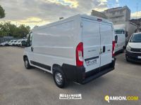 Fiat DUCATO DUCATO | Millenium Car