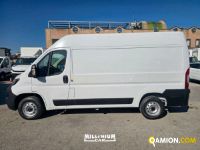 Fiat DUCATO ducato | Millenium Car