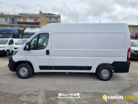 Fiat DUCATO DUCATO | Millenium Car
