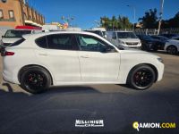Alfa romeo STELVIO STELVIO | Millenium Car