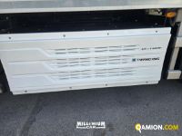 Iveco S-Way AT440S48T/P MOTRICE S-Way AT440S48T/P MOTRICE | Millenium Car