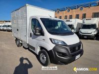 Fiat DUCATO ducato | Millenium Car