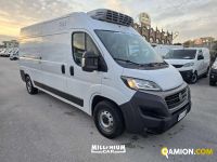 Fiat Ducato (4ª serie) Ducato (4ª serie) | Millenium Car