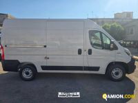 Fiat DUCATO ducato | Millenium Car