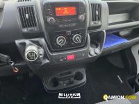 Fiat Ducato (4ª serie) Ducato (4ª serie) | Millenium Car