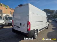 Fiat DUCATO ducato | Millenium Car