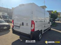 Fiat DUCATO ducato | Millenium Car
