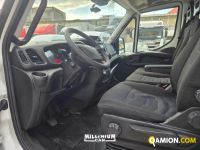 Iveco DAILY daily 60c15 | Millenium Car