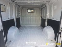 Fiat DUCATO DUCATO | Millenium Car