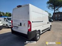 Fiat Ducato (4ª serie) Ducato (4ª serie) | Millenium Car