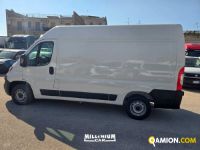 Fiat Ducato (4ª serie) Ducato (4ª serie) | Millenium Car