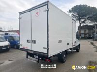 Iveco DAILY 35C14 DAILY 35C14 | Millenium Car