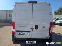 Fiat DUCATO ducato | Millenium Car
