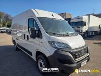 Fiat DUCATO ducato | Millenium Car