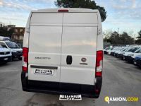 Fiat Ducato (4ª serie) Ducato (4ª serie) | Millenium Car