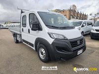 Fiat DUCATO DUCATO | Millenium Car