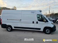 Fiat Ducato (4ª serie) Ducato (4ª serie) | Millenium Car