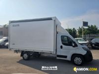 Fiat DUCATO MAXI C.A. DUCATO MAXI C.A. | Millenium Car