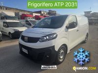 Fiat SCUDO SCUDO | Millenium Car