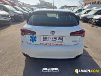 Fiat TIPO TIPO | Millenium Car
