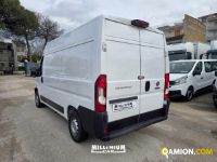 Fiat DUCATO DUCATO | Millenium Car