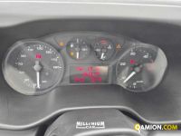 Iveco DAILY 60C17 DAILY 60C17 | Millenium Car