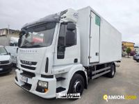 Iveco EUROCARGO - FURGONE ISOTERMICO EUROCARGO - FURGONE ISOTERMICO | Millenium Car