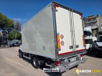 Iveco DAILY 60C15 DAILY 60C15 | Millenium Car