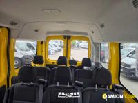 Ford TRANSIT transit | Millenium Car