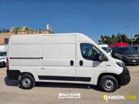 Fiat Ducato (4ª serie) Ducato (4ª serie) | Millenium Car