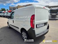 Fiat DOBLO doblo | Millenium Car