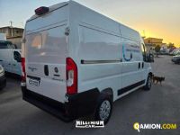 Fiat Ducato (4ª serie) Ducato (4ª serie) | Millenium Car