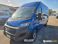 Fiat DUCATO ducato | Millenium Car