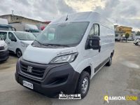 Fiat DUCATO DUCATO | Millenium Car