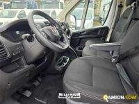 Fiat DUCATO DUCATO | Millenium Car