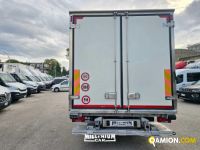Iveco DAILY daily 60c15 | Millenium Car
