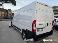 Fiat Ducato (4ª serie) Ducato (4ª serie) | Millenium Car