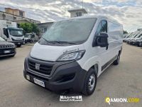 Fiat DUCATO ducato | Millenium Car