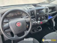 Fiat Ducato (4ª serie) Ducato (4ª serie) | Millenium Car