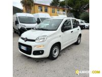 Fiat PANDA PANDA | MUGAVERO ANTONIO & FIGLI SRL
